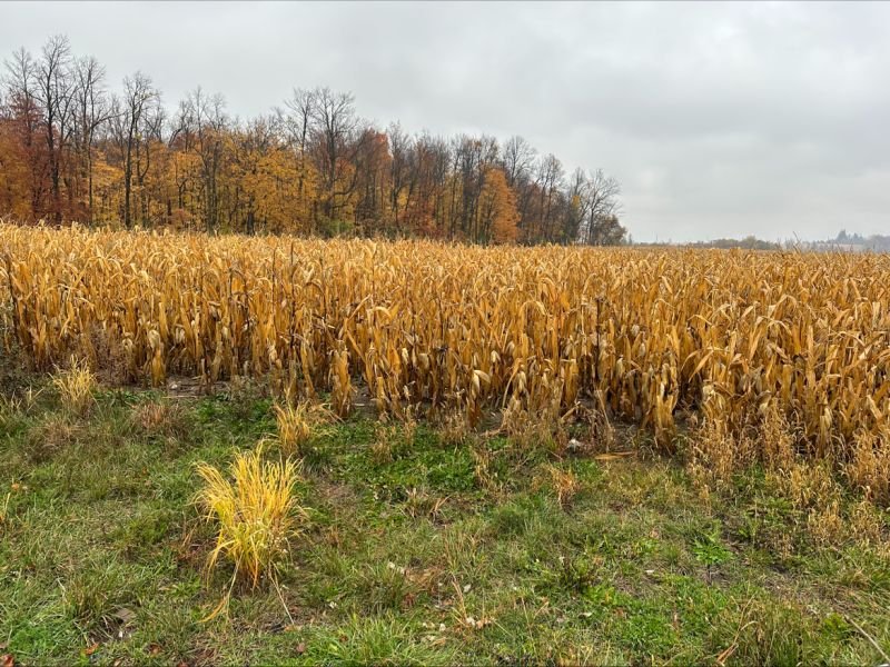 Leadership - N is for Notice