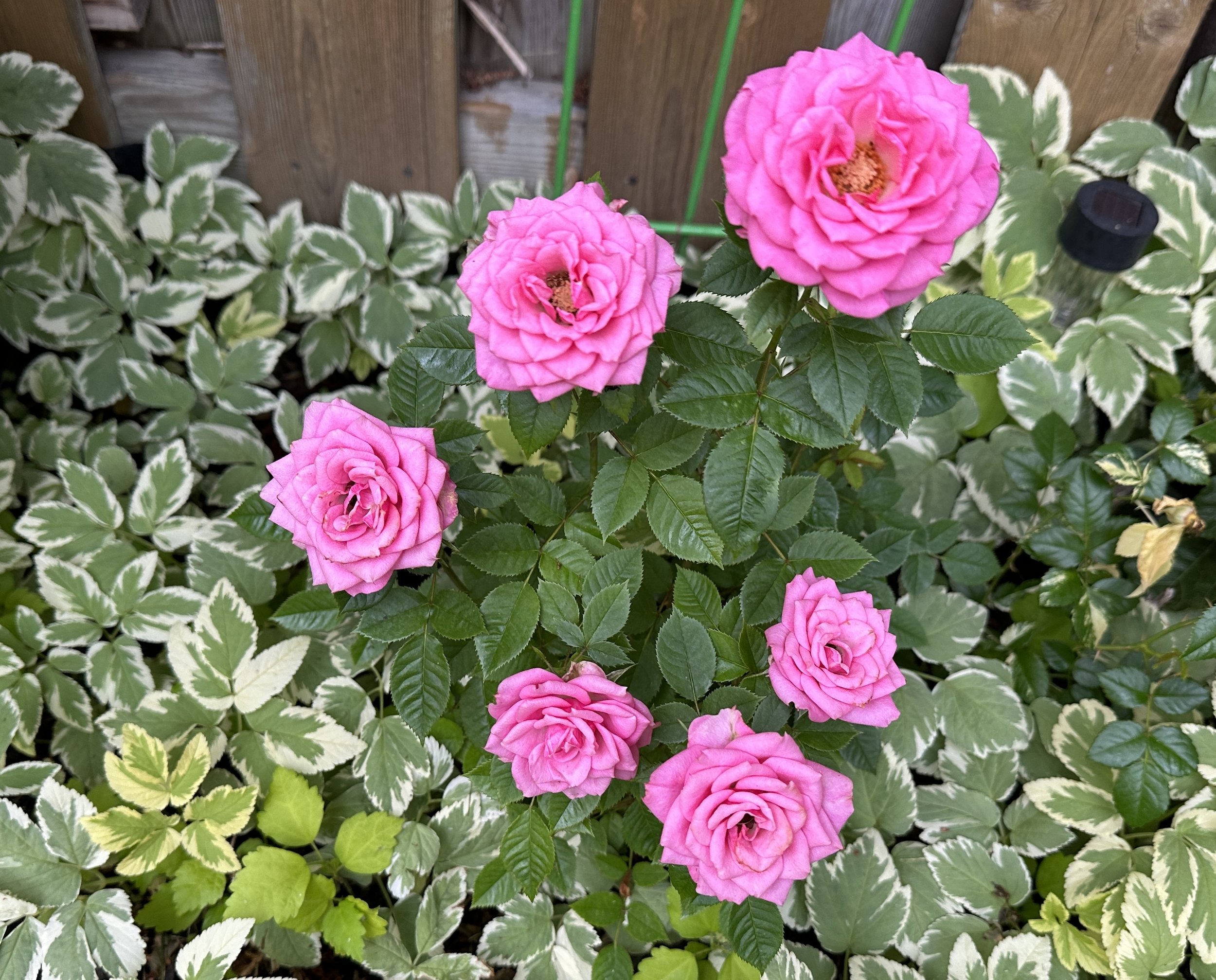 Leadership - R is for Realistic