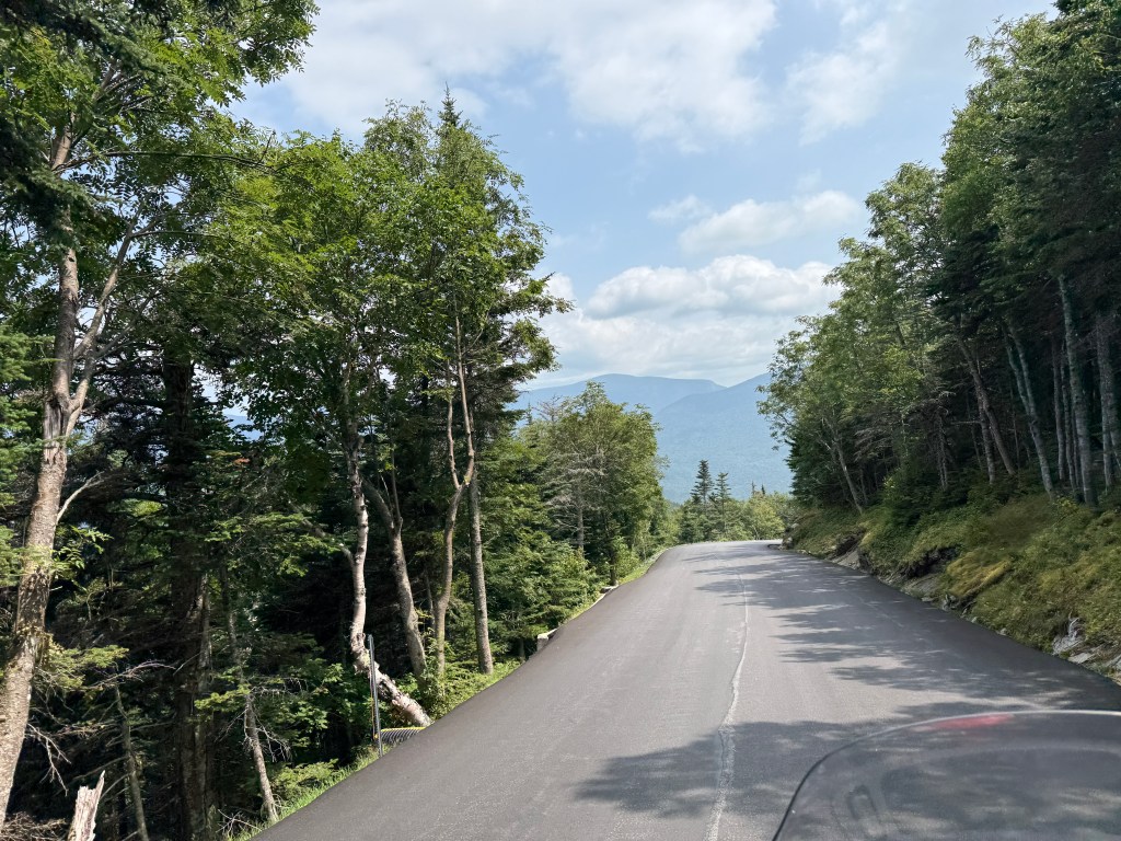 Motorcycle travelling through the trees on a mountain road