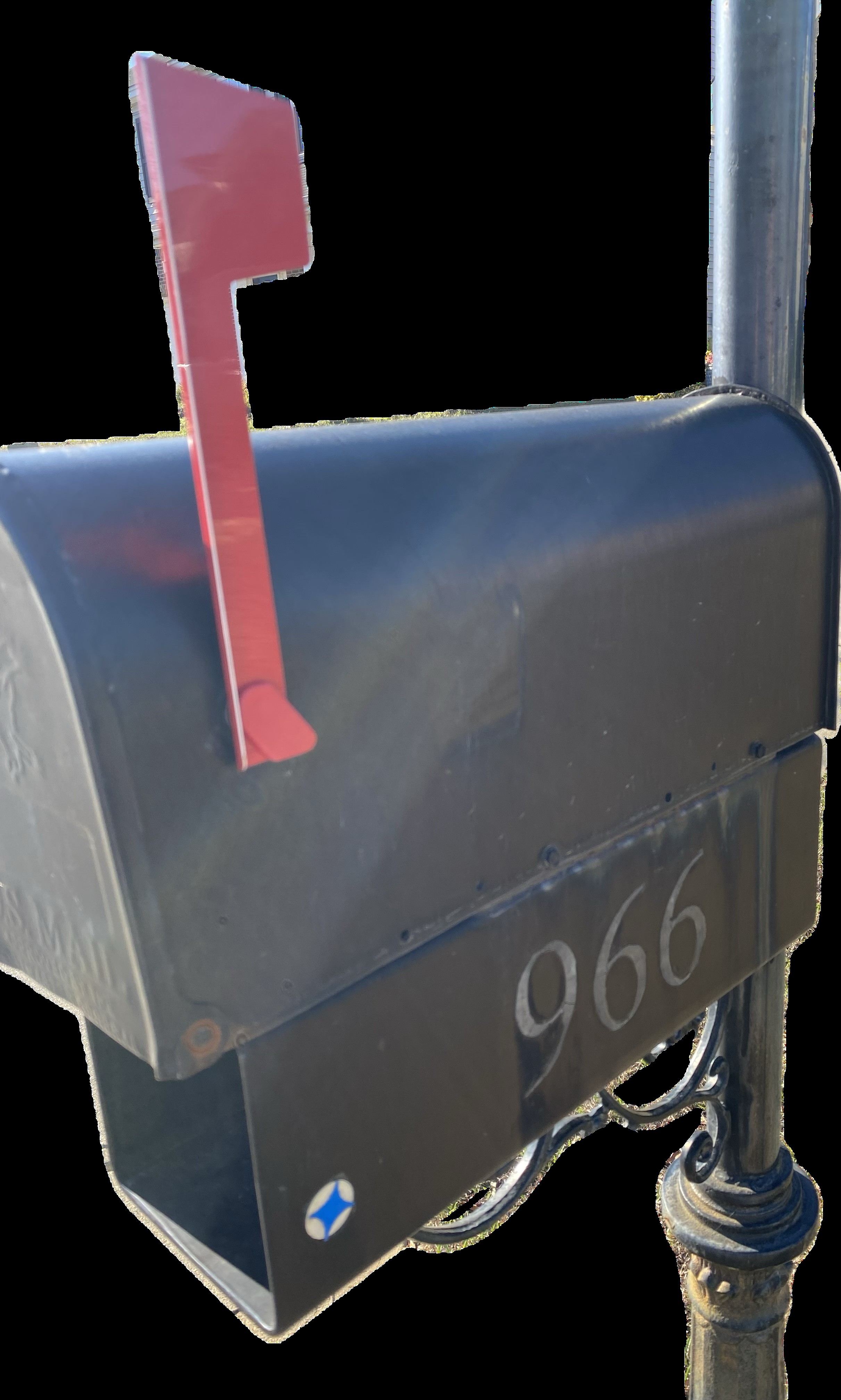 Mom conquers the mailbox flag